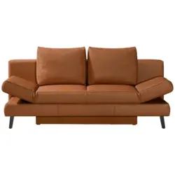 Schlafsofa in Echtleder Braun