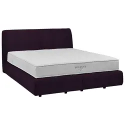 Boxspringbett 200/200 cm in Violett