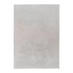 XXXLutz Lauterach - Ihr M&ouml;belhaus bei Bregenz Flachwebeteppich 200/280 cm Silberfarben