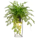 XXXLutz Lauterach - Ihr M&ouml;belhaus bei Bregenz Kunstpflanze Farn 60 cm