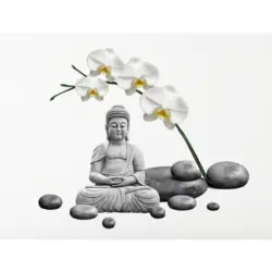 Wandtattoo 50/70/0,10 cm