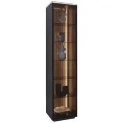 Vitrine in furniert Eiche Anthrazit, Eichefarben