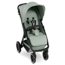 Buggy Avus 2 Air