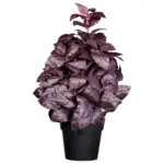 XXXLutz Lauterach - Ihr M&ouml;belhaus bei Bregenz Kunstpflanze Kr&auml;uter 30 cm