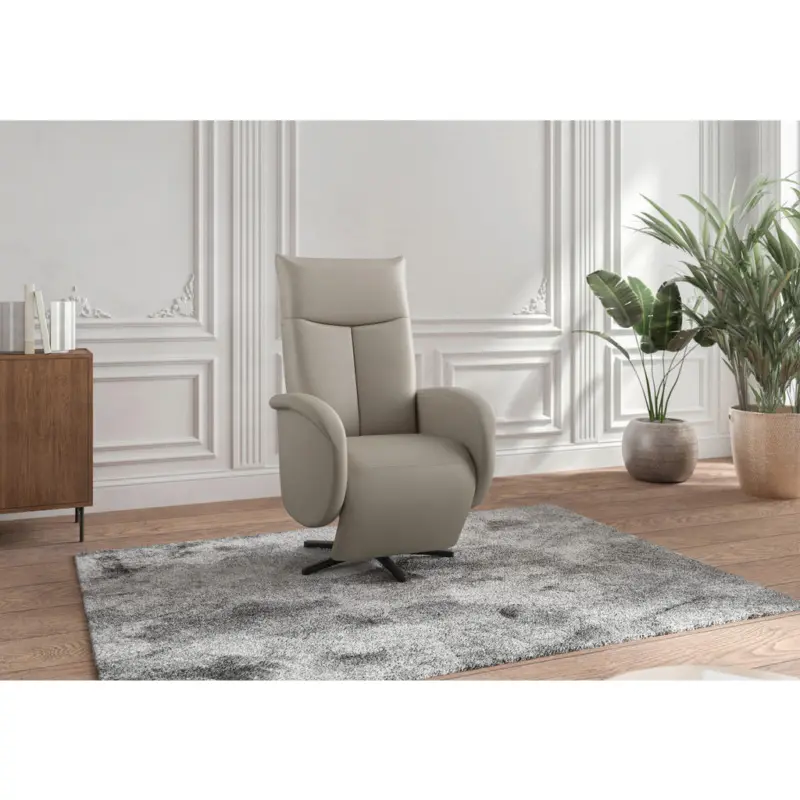 Relaxsessel in Leder Grau