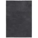 XXXLutz Lauterach - Ihr M&ouml;belhaus bei Bregenz Shaggy 160/230 cm Flair Rugs Grau