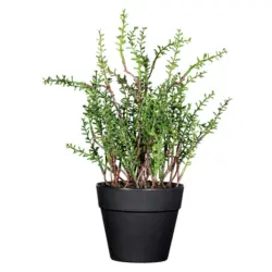 Kunstpflanze Kr&auml;uter 24 cm