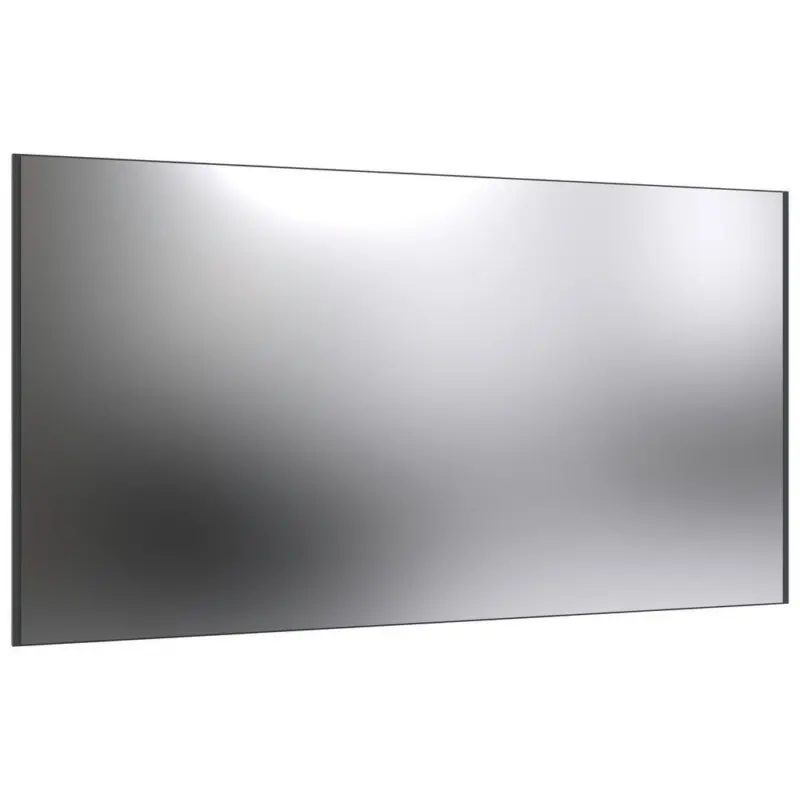 Spiegel 58/106/2 cm
