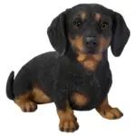 XXXLutz Lauterach - Ihr M&ouml;belhaus bei Bregenz Dekohund