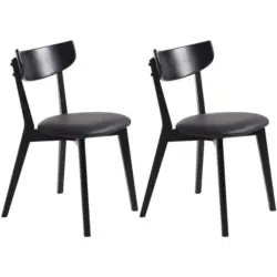 Stuhl-Set 2 St&uuml;ck Typenauswahl, abwischbar Lederlook