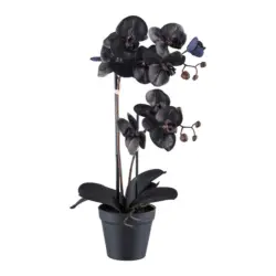 Kunstpflanze Orchidee 53 cm
