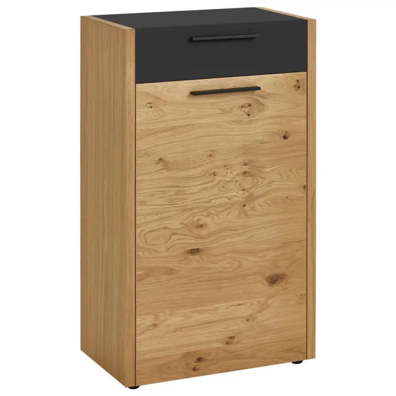 Schuhschrank 61/103/37 cm