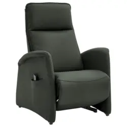 Fernsehsessel in Dunkelgr&uuml;n