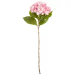 XXXLutz Lauterach - Ihr M&ouml;belhaus bei Bregenz Hortensie