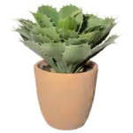 XXXLutz Lauterach - Ihr M&ouml;belhaus bei Bregenz Kunstpflanze Sukkulente 32 cm