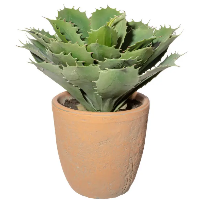 Kunstpflanze Sukkulente 32 cm