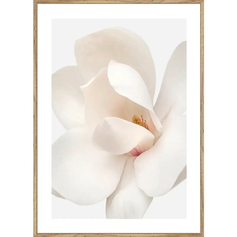 Kunstdruck 51,2/71,2 cm