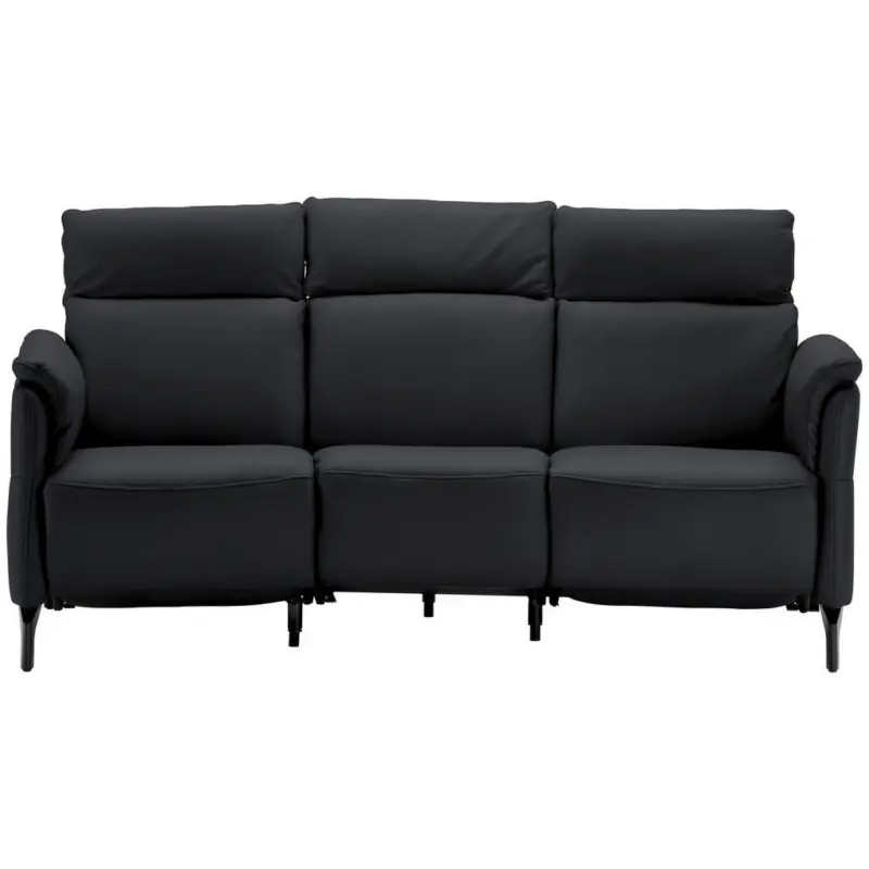 Trapezsofa in Echtleder Anthrazit