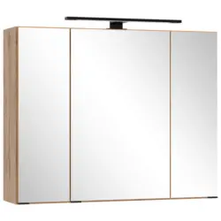 Spiegelschrank 80/67,5/20 cm