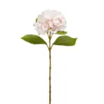 XXXLutz Lauterach - Ihr M&ouml;belhaus bei Bregenz Kunstblume