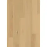 XXXLutz Lauterach - Ihr M&ouml;belhaus bei Bregenz Vinylboden Grando Eiche Puna 100065101 per m&sup2;