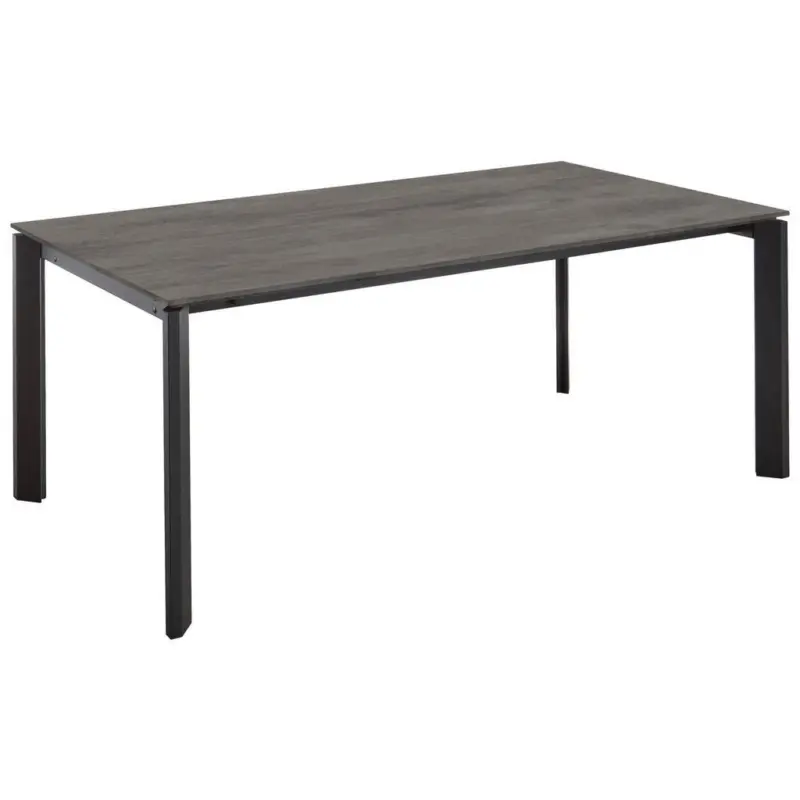 Esstisch in Metall, Holzwerkstoff 200-300/95/76 cm