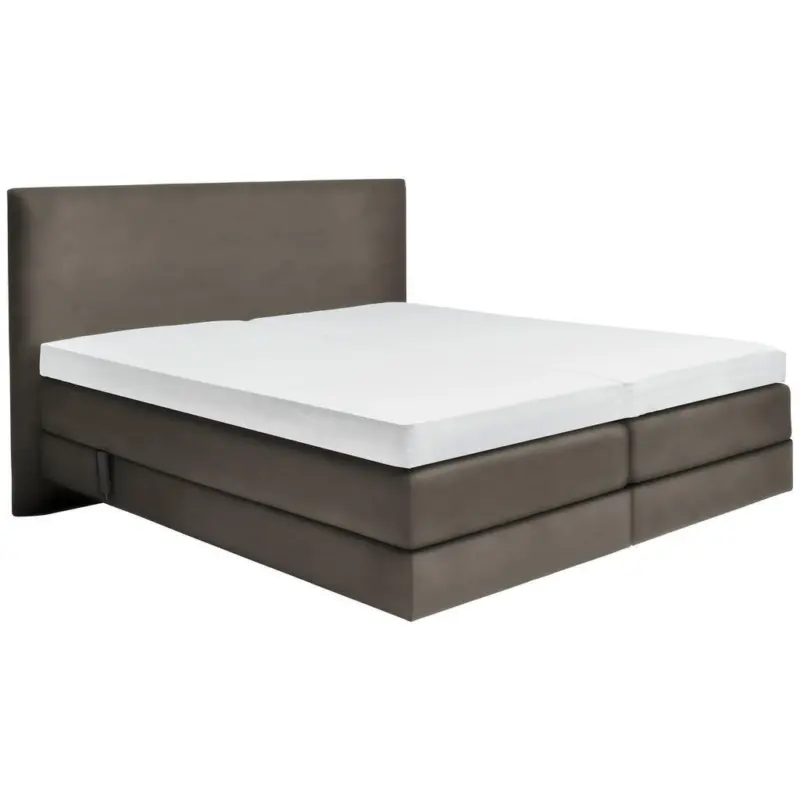 Boxspringbett 160/200 cm in Taupe