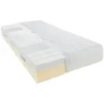 XXXLutz Lauterach - Ihr M&ouml;belhaus bei Bregenz Kaltschaummatratze 100/200 cm H&ouml;he ca. 20 cm