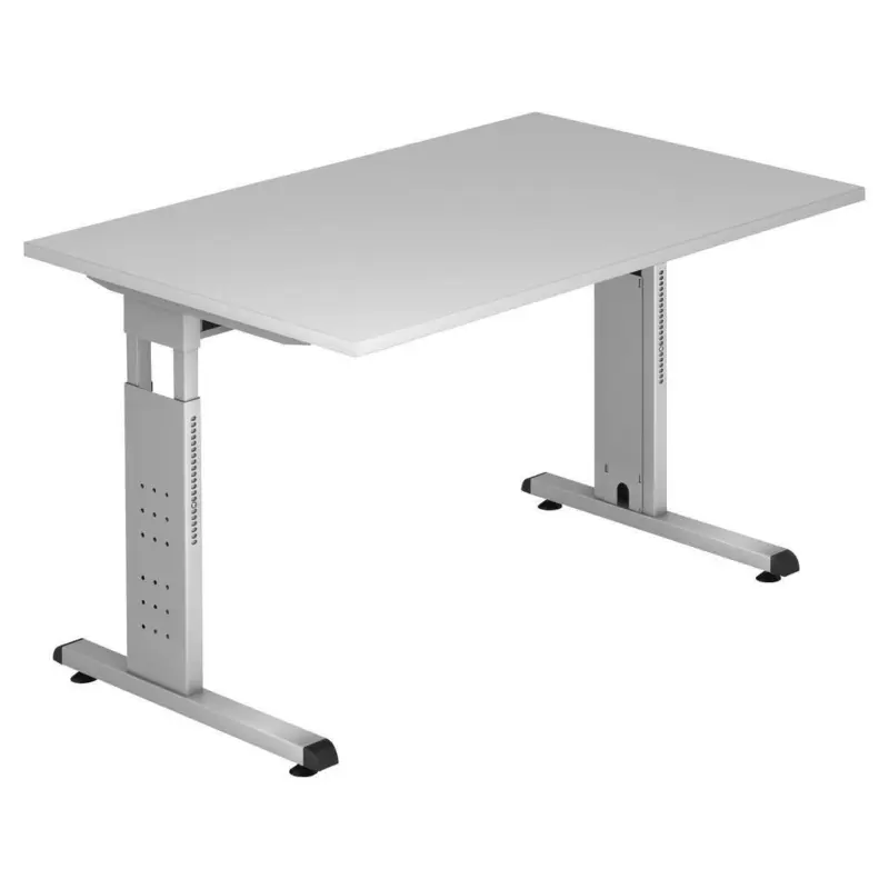 Schreibtisch 120/80/65-85 cm Grau