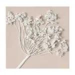 XXXLutz Lauterach - Ihr M&ouml;belhaus bei Bregenz &Ouml;lgem&auml;lde Blumen 30/30 cm