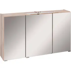 Spiegelschrank 100/64/20 cm