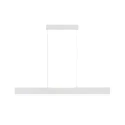 H&auml;ngeleuchte 118,5/4/8 cm