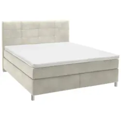 Boxspringbett 180/200 cm in Creme