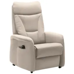 Fernsehsessel in Mikrofaser Naturfarben