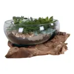 XXXLutz Lauterach - Ihr M&ouml;belhaus bei Bregenz Dekoschale