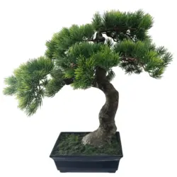Bonsai 43 cm