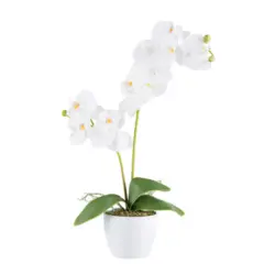 Kunstpflanze Orchidee 57 cm