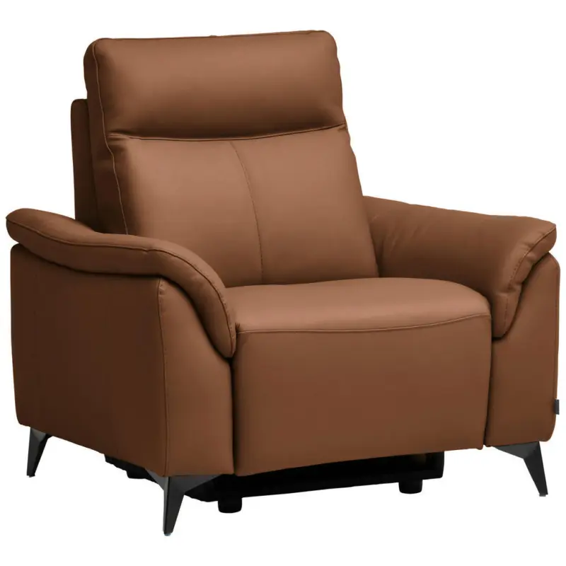 Sessel in Echtleder Cognac