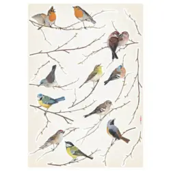 Dekosticker 50/70 cm