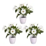 XXXLutz Lauterach - Ihr M&ouml;belhaus bei Bregenz Kunstpflanze Petunie 28 cm