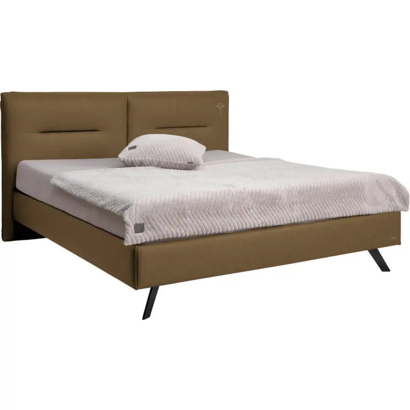 Polsterbett Braun 200/200 cm