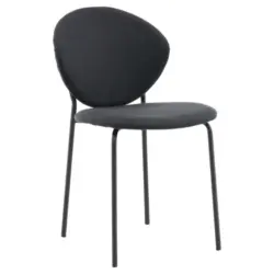 Stuhl-Set 2 St&uuml;ck abwischbar