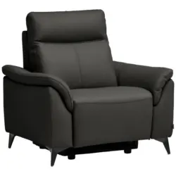 Sessel in Echtleder Anthrazit