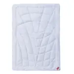 XXXLutz Lauterach - Ihr M&ouml;belhaus bei Bregenz Ganzjahresdecke 140/200 cm Bamboo