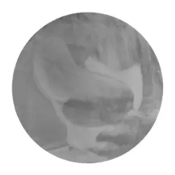 Hochflorteppich 200 cm Anna Dunkelgrau