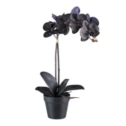 Kunstpflanze Orchidee 48 cm