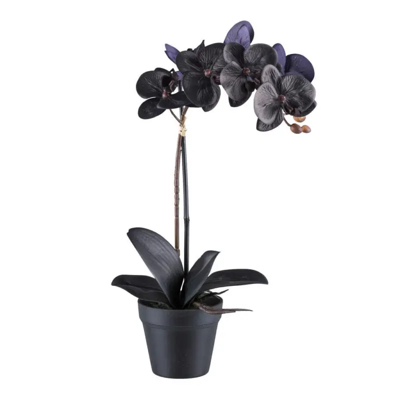 Kunstpflanze Orchidee 48 cm