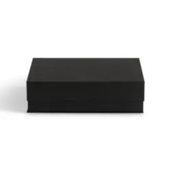 Aufbewahrungsbox 23/31.5/9 cm