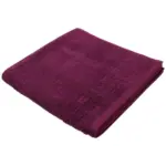XXXLutz Lauterach - Ihr M&ouml;belhaus bei Bregenz Badetuch Violett 90/180 cm