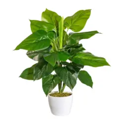 Kunstpflanze Philodendron 50 cm